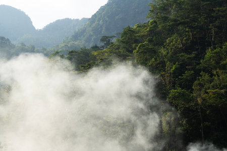 Dense white fog rises and covers the foreground of a steep tropical forest mountain slope.の写真素材