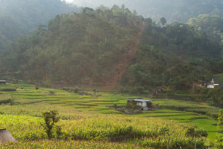Single sun ray strikes the green rice terraces in a hazy valley at the foot of the mountain.の写真素材