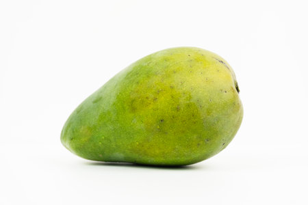 Single green mango sits horizontally isolated on a white background ready for tropical consumption.の写真素材