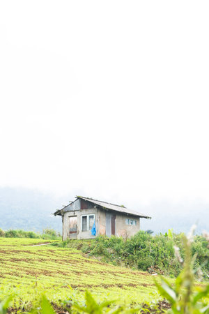 Secluded Tiny House in Green Fieldの写真素材