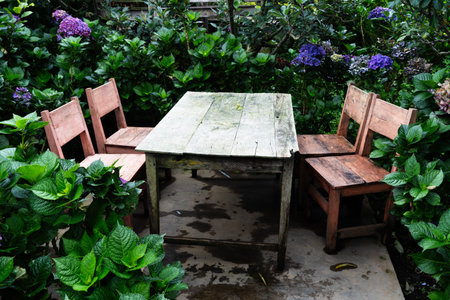 Rustic Retreat A Wooden Table Set Amidst Lush Greenery