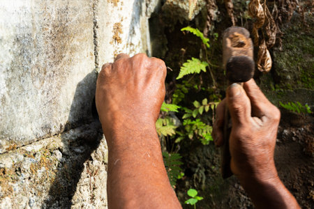 Dedicated male worker intently removing material from old crumbling stone wall overgrown with bright green ferns. Construction maintenance conceptの写真素材