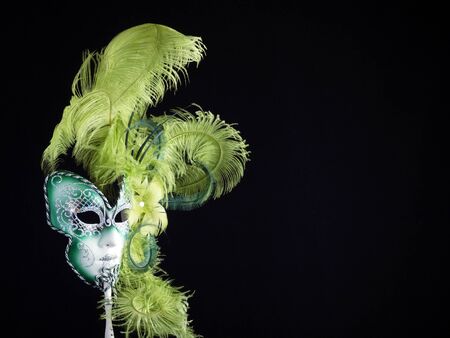 Venetian Carnival Maskの写真素材