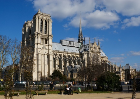 the great kathedral of paris from the park