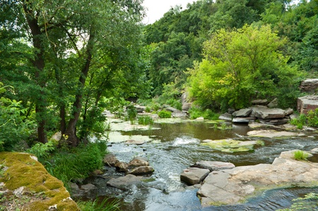 Mountain river runs in forest.