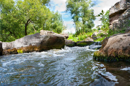 The narrow rapid stream runs in forest.の写真素材