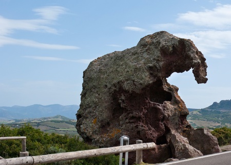 The great art of nature powers made the sculpture of the animal from the rock, Sardinia, Italy.の写真素材