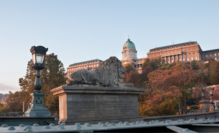 The stone lion looks on the Royal Palace in Budapest, Hungary.のeditorial素材