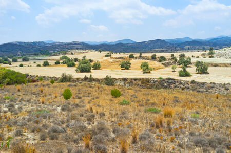 The white soils with the poor vegetation in Troodos mountain region of Cyprus.の写真素材