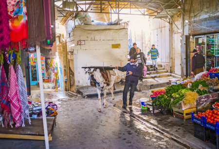 MARDIN, TURKEY - JANUARY 14, 2015: The donkey is popular for transportation different goods, on January 14 in Mardin.のeditorial素材