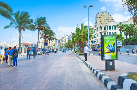 ALEXANDRIA, EGYPT - OCTOBER 11, 2014: The comfortable mediterranean promenade with numerous shady palms is the best place for daily walks, on October 11 in Alexandria.のeditorial素材