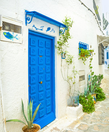 HAMMAMET, TUNISIA - SEPTEMBER 6, 2015: The bright color door and flower s in pots are the traditional exterior decorations in old arabic towns, on September 6 in Hammamet.のeditorial素材