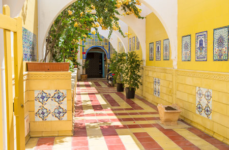 The entrance to the public bath decorated with the traditional arabic tiles and flowers in pots, Mahdia, Tunisia.のeditorial素材