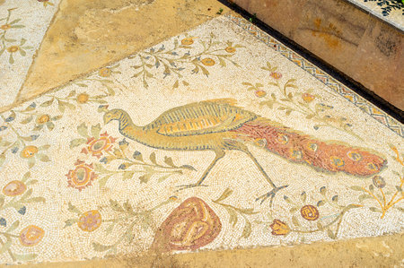 CARTHAGE, TUNISIA - AUGUST 31, 2015: The ancient Roman mosaics with the peacock among the flowers, on August 31 in Carthage.のeditorial素材