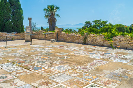 CARTHAGE, TUNISIA - SEPTEMBER 2, 2015: The preserved floor of the ancient Roman villa covered with masterpiece mosaics, on September 2 in Carthage.のeditorial素材