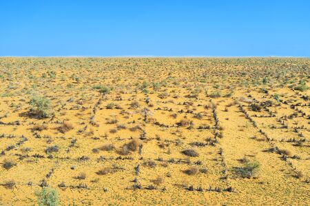 The landscape of Kyzyl Kum desert with hot temperature and poor vegetation, Uzbekistan.の写真素材