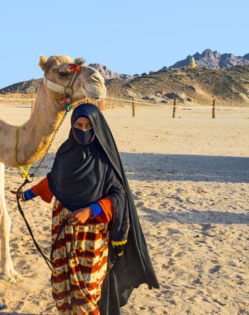 The young girl-cameleer from Bedouin village in Sahara desert with her camel, Hurghada, Egypt.のeditorial素材