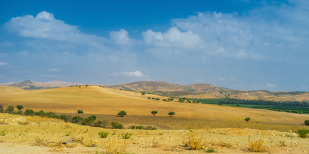 The mountain landscape of Northern Tunisia with the yellow fields and olive orchards on the background.の写真素材