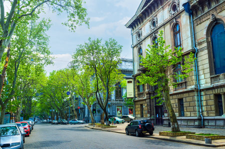 ODESSA, UKRAINE - MAY 17, 2015: All streets in old part of Odessa are planted with trees, because of hot sunny summer, on May 17 in Odessa.のeditorial素材