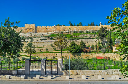 The Kidron Valley and the medieval walls of the old Jerusalem on the background, Israel.のeditorial素材