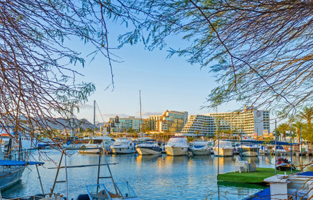 EILAT, ISRAEL - FEBRUARY 23, 2016: The view through the branches on the yachts in Lagoona of the luxury resort, on February 23 in Eilat.のeditorial素材