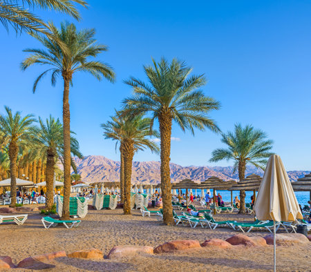 EILAT, ISRAEL - FEBRUARY 23, 2016: The cozy beach with many palms and sunshades, on February 23 in Eilat.のeditorial素材