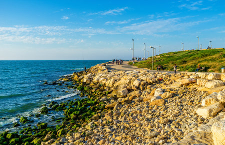 TEL AVIV, ISRAEL - FEBBRUARY 25, 2016: The rocky seashore and the green hills of Charles Clore Park, on February 25 in  Tel Aviv.のeditorial素材