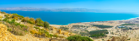The coast of the Dead Sea is occupied with the palm farms of the local kibbutzes, looking so small from the mountain top, Ein Gedi, Israel.の写真素材