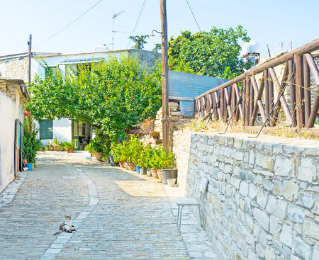 The quiet street with the cat, lying on the road, Kato Drys, Cyprus.の写真素材