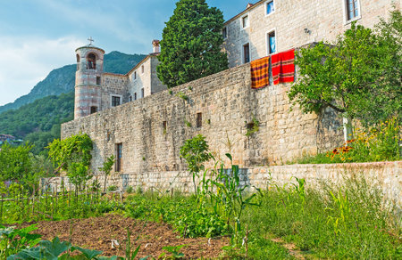 The kitchen-gardens of the Podmaine Monastery located at its medieval walls, Budva, Montenegro.のeditorial素材