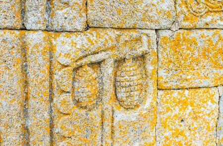 The grape vines, one of the symbols of Georgia, carved on the wall of Tsminda Sameba (Holy Trinity)...