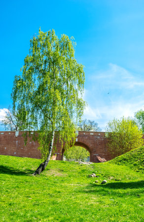 The Greenhouse Bridge over the ravine with the scenic birch tree on the foreground, Tsaritsyno, Moscow, Russia.のeditorial素材