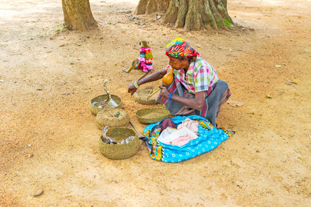 ANURADHAPURA, SRI LANKA - NOVEMBER 26, 2016: The performance of snake charmer with two cobras in baskets in Mahamevnawa Park, on November 26 in Anuradhapura.のeditorial素材