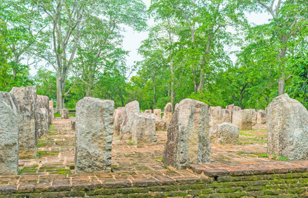 The broken pillars of the Chapter House  (Diyasen paya) on territory of archaeological site of Jetavana Vihara, Anuradhapura, Sri Lanka.のeditorial素材