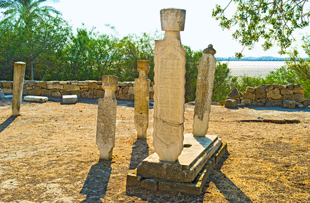 LARNACA, CYPRUS - AUGUST 4, 2014: The old muslim cemetery is the part of the Hala Sultan Tekke complex, on August 4 in Larnaca, Cyprus.のeditorial素材