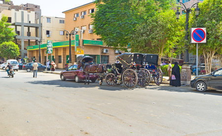 LUXOR, EGYPT - OCTOBER 8, 2014: The carriages with horses are the most popular tourist transport at the city centre, on October 8 in Luxor.のeditorial素材