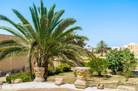 The scenic garden with the capitals of the ancient columns in the courtyard of the archaeological museum of El Jem, Tunisia.の写真素材