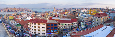 Panorama of the roofs of the old Fatih district from the top of the Third Hill of Istanbul, Turkey.のeditorial素材