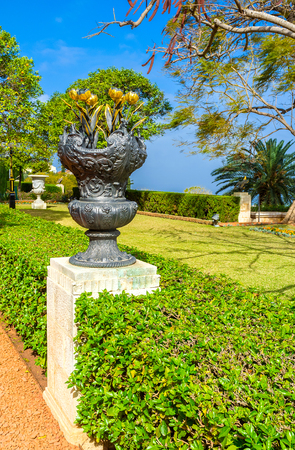 The black vase with gilt tulips in alley of Bahai Gardens, Haifa, Israel.の写真素材