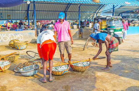 NEGOMBO, SRI LANKA - NOVEMBER 25, 2016: The workers will carry the fish baskets on the stick to load into the car, on November 25 in Negombo.のeditorial素材