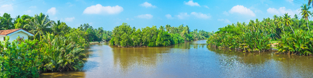 Panorama of Gin Oya tropical river with green islands, covered with mangroves and palm gardens, Nainamadama, Sri Lanka.の写真素材