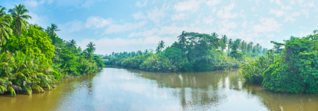 The riverbed of Gin Oya is divided by green islands, covered with mangroves, it's the famous tourist destination and one of the best places to enjoy boat trip, Nainamadama, Sri Lanka.の写真素材