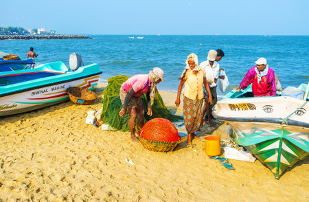 NEGOMBO, SRI LANKA - NOVEMBER 25, 2016: All the catch of the fishing crew fits in one basket, on November 25 in Negombo.のeditorial素材