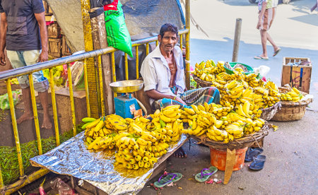 COLOMBO, SRI LANKA - DECEMBER 6, 2016: The banana seller at the entrance to Fose Market, surrounded by baskets with fresh fruits, on December 6 in Colombo.のeditorial素材