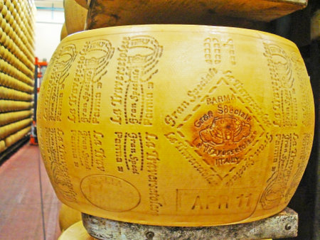 PARMA, ITALY - APRIL 24, 2012: The marked wheel of parmegiano reggiano (parmesan) is aging in maturation room of Caseificio la Traversetolese factory, on April 24 in Parma.のeditorial素材