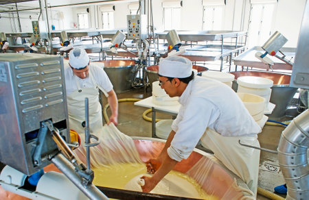 PARMA, ITALY - APRIL 24, 2012: The processing of famous parmigiano reggiano at Caseificio la Traversetolese cheese factory, on April 24 in Parma.のeditorial素材