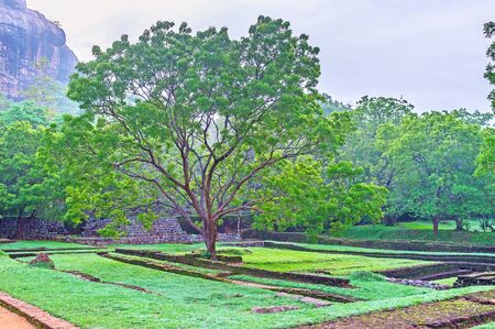 The Royal Gardens of Sigiriya are the best place to enjoy the nature, archaeological objects and historical sites, Sri Lanka.の写真素材