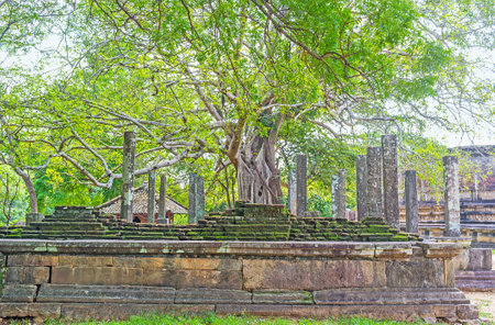 The preserved site of Dalada Maluwa is the famous religious and historic destination in the sacred city of Polonnaruwa, Sri Lanka.のeditorial素材