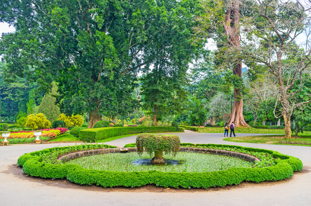 Royal Botanical Garden is the most silent and cozy place in Kandy city, Sri Lankaの写真素材
