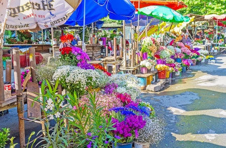 TBILISI, GEORGIA - JUNE 5, 2016: The beautiful and fragrant flowers in stalls of Flower Market, located in former Kolchos Square in Mtatsminda district, on June 5 in Tbilisi.のeditorial素材